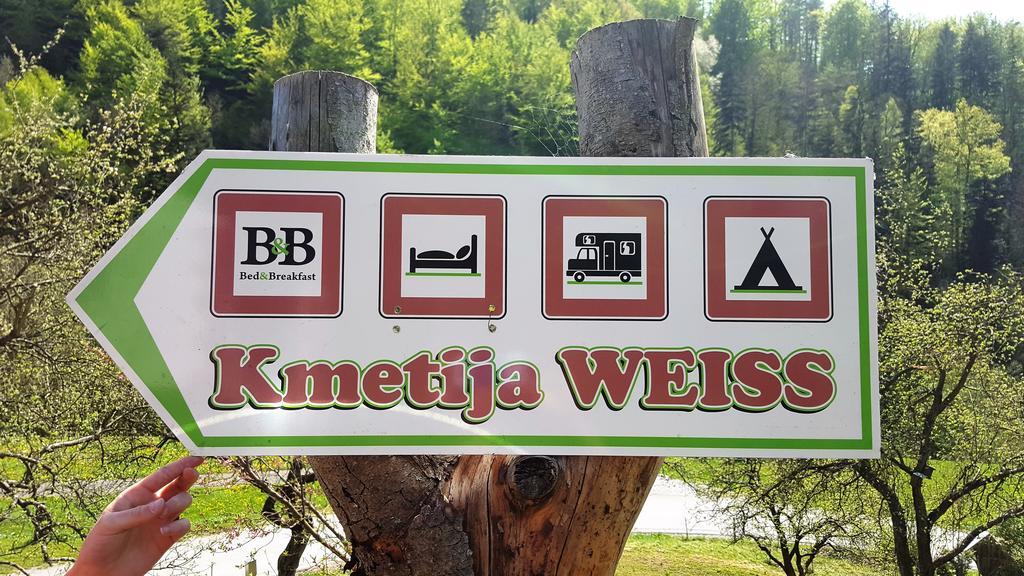 Turisticna Kmetija Weiss Villa Miklavz pri Taboru Kültér fotó