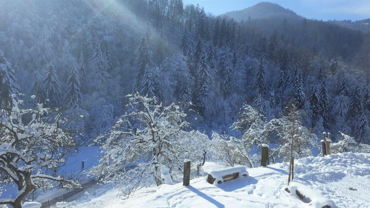 Turisticna Kmetija Weiss Villa Miklavz pri Taboru Kültér fotó