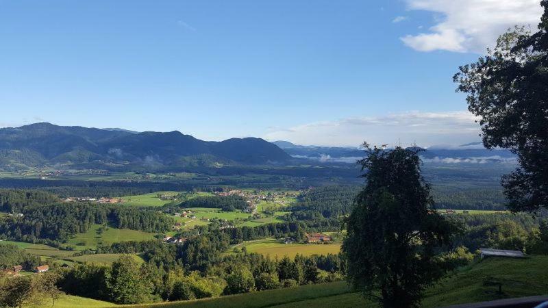 Turisticna Kmetija Weiss Villa Miklavz pri Taboru Kültér fotó