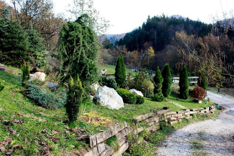 Turisticna Kmetija Weiss Villa Miklavz pri Taboru Kültér fotó