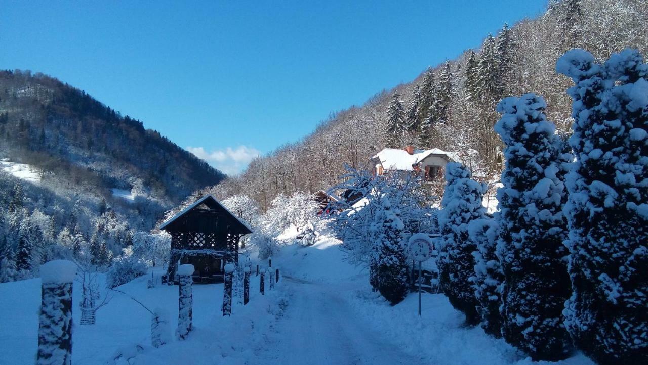 Turisticna Kmetija Weiss Villa Miklavz pri Taboru Kültér fotó