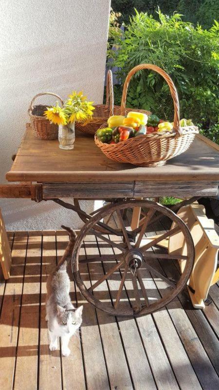 Turisticna Kmetija Weiss Villa Miklavz pri Taboru Kültér fotó